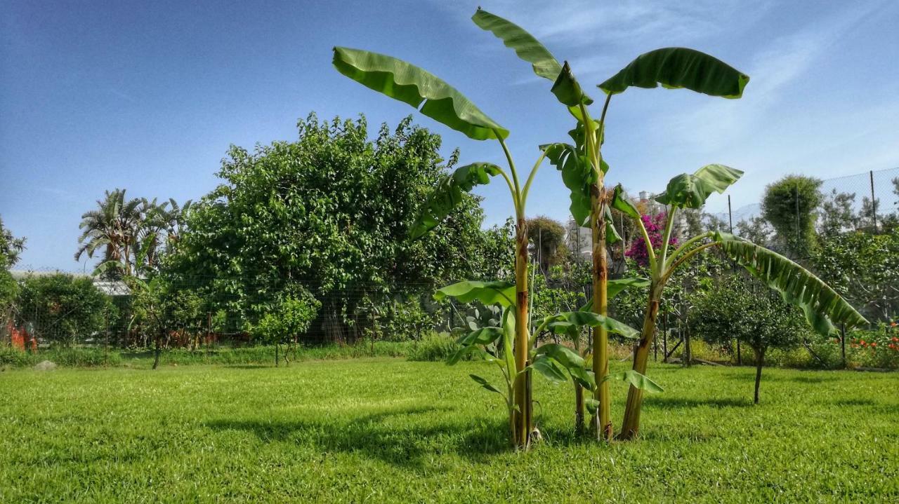 B&B Tifeo Villafranca Tirrena Bagian luar foto